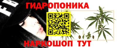 гашик Балаково