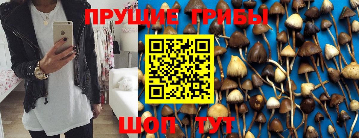 Галлюциногенные грибы мухоморы Гагарин