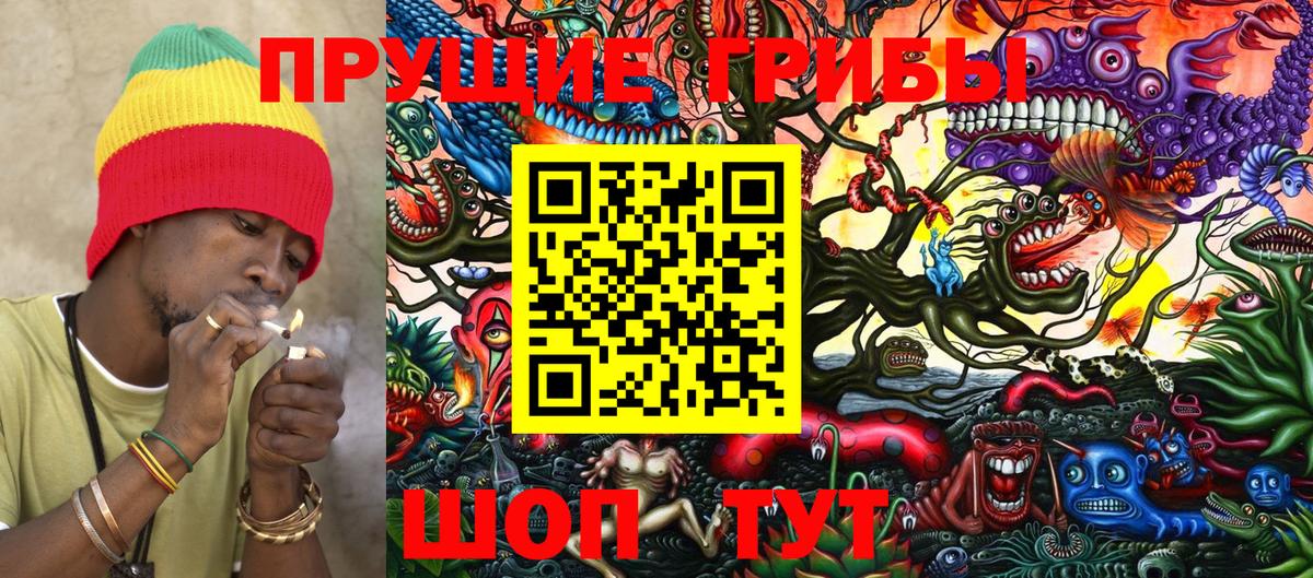 Галлюциногенные грибы Psilocybine cubensis  Псилоцибиновые грибы мицелий  Вход с VPN  Гагарин 