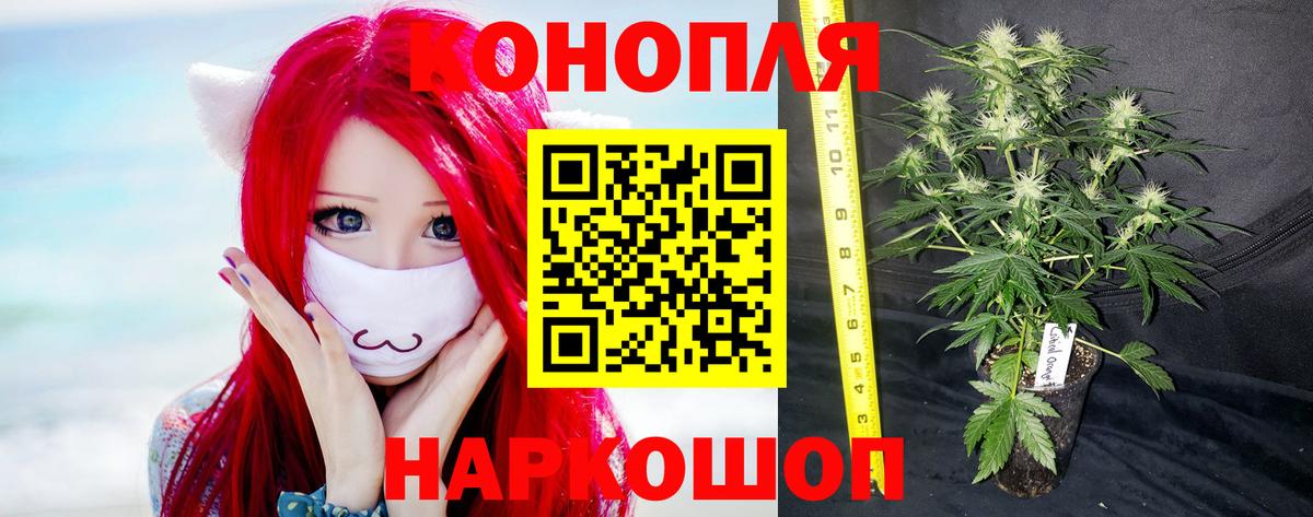 Канабис планчик  Бошки марихуана LSD WEED  Вход с VPN  Бошки Шишки Amnesia  Гагарин 